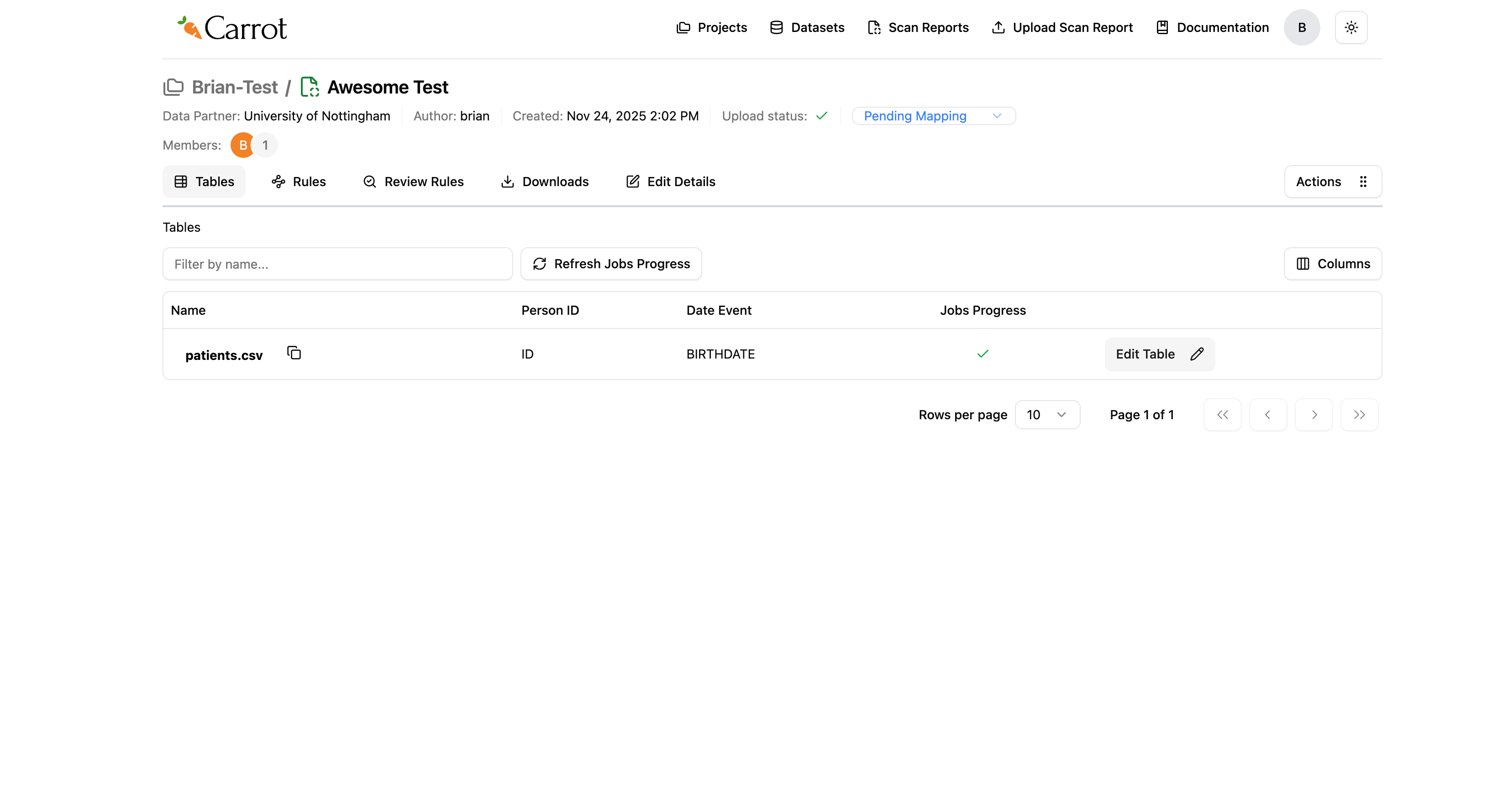 Carrot Mapper Auto-Mapping Complete